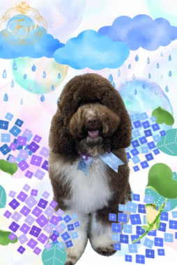 キクチちゃんサムネイル