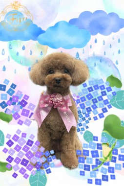 リルちゃんサムネイル
