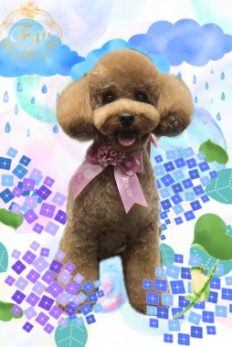 ルチアちゃんサムネイル