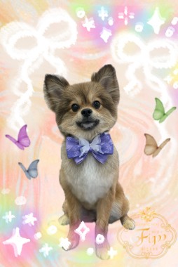 アイルくんサムネイル
