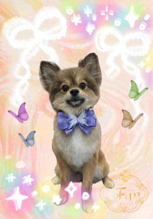 airu