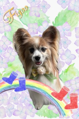 ポーロくんサムネイル