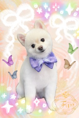 バニラくんサムネイル