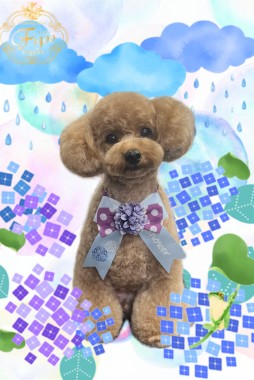 バニラくんサムネイル