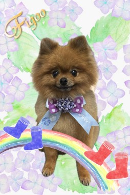 茶々丸くんサムネイル
