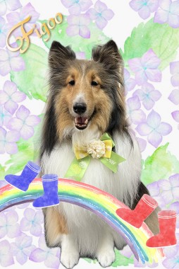 シャンティーちゃんサムネイル