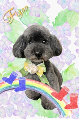 ノワくんサムネイル