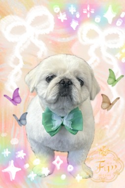 ちょびくんサムネイル