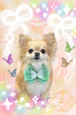 ショコラくんサムネイル
