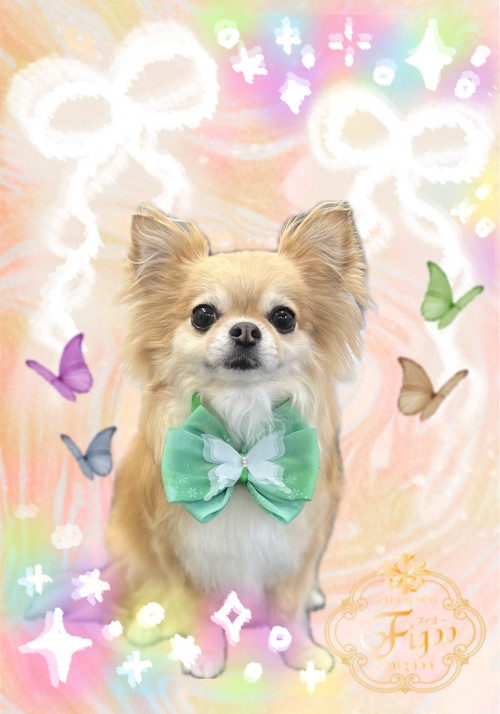 choko