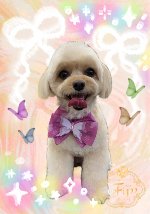coco