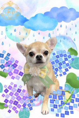 チャッピーくんサムネイル