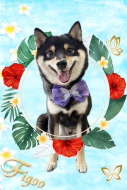 バレンくんサムネイル
