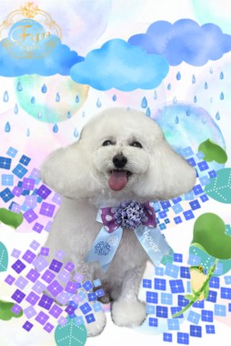 大福くんサムネイル