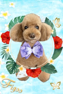 ニコルちゃんサムネイル