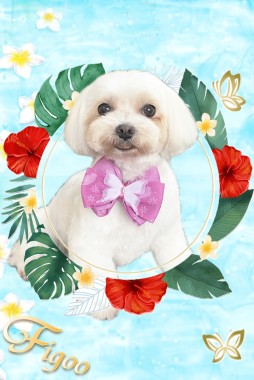 チコちゃんサムネイル