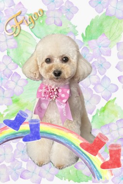 りんごちゃんサムネイル