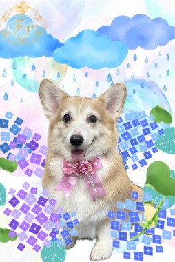 エルちゃんサムネイル