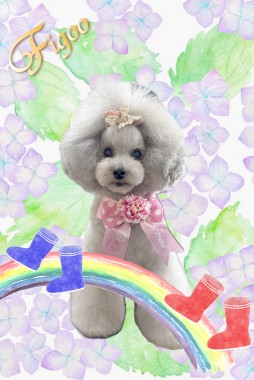 ノエルちゃんサムネイル