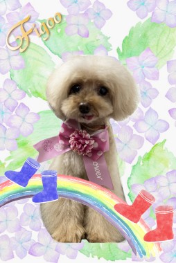 あいちゃんサムネイル