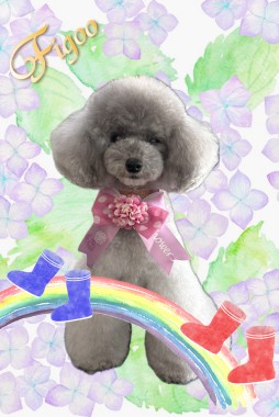 ひなたちゃんサムネイル