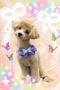 ハルくんサムネイル