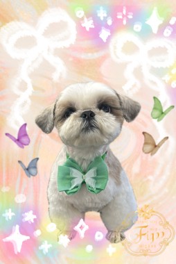 犬千代くんサムネイル