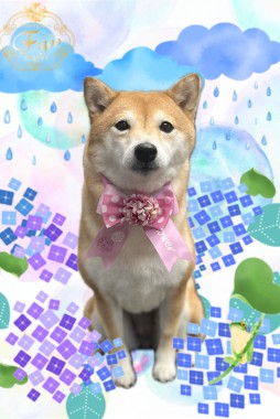 かりんちゃんサムネイル