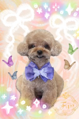 kikiちゃんサムネイル