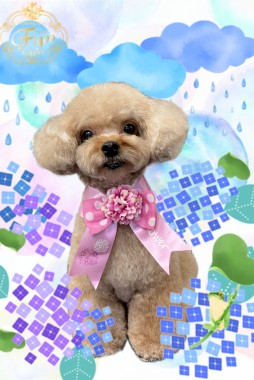 kikiちゃんサムネイル