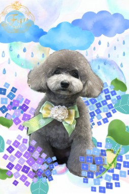 きなこちゃんサムネイル