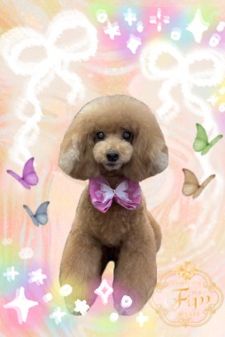 ココちゃんサムネイル