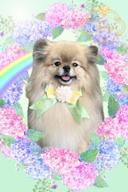 めいちゃんサムネイル