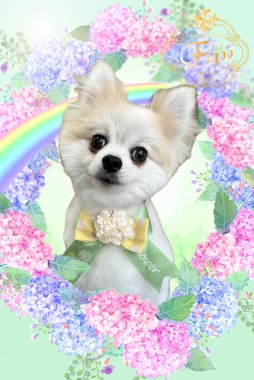 天丸くんサムネイル