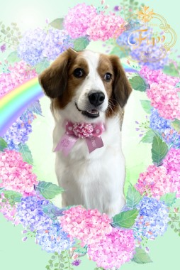 なつめちゃんサムネイル