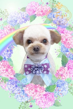 エールくんサムネイル