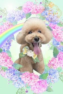 メリーちゃんサムネイル