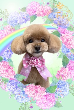 くうちゃんサムネイル