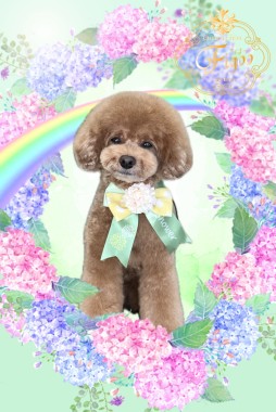 もこくんサムネイル