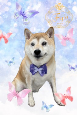 ハチちゃんサムネイル