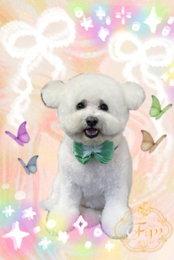 ましゅーくんサムネイル
