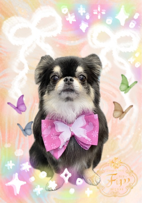 mimi