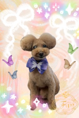 モコちゃんサムネイル