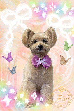 もこちゃんサムネイル