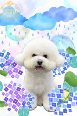 モッピーくんサムネイル
