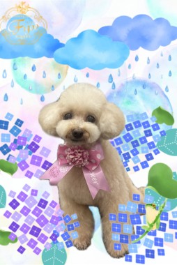 ナナちゃんサムネイル