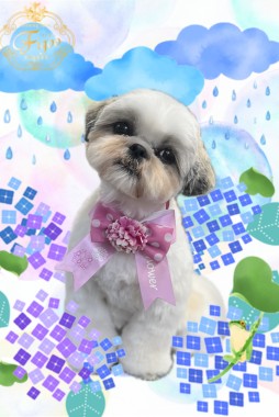 ニコちゃんサムネイル