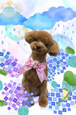 のあちゃんサムネイル
