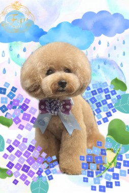 ピノくんサムネイル