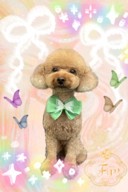プリンくんサムネイル